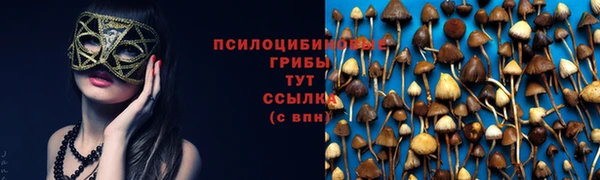 индика Россошь