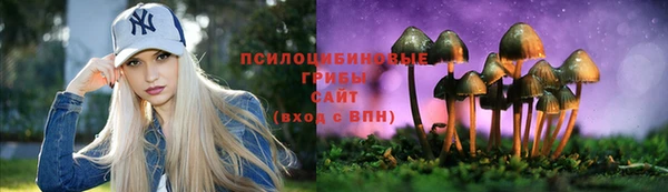индика Россошь