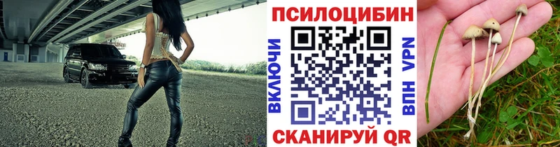 Псилоцибиновые грибы Psilocybine cubensis Батайск