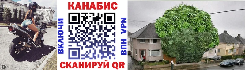 Марихуана сатива  Батайск 